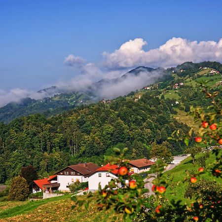 Farm Stay Pirc Лашко Екстер'єр фото