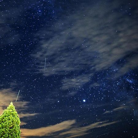 Farm Stay Pirc Лашко Екстер'єр фото